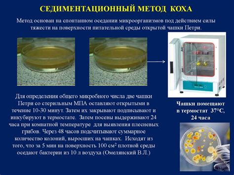 Микробиологическое исследование: что это?