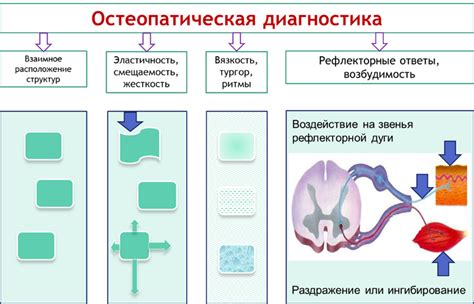 Микромиры мозга: поиски причины быть причиной