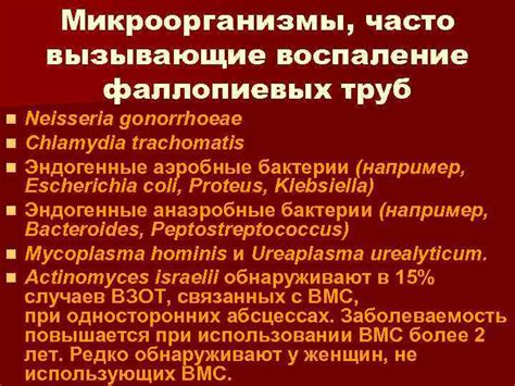 Микроорганизмы, вызывающие воспаление