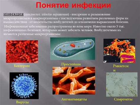 Микроорганизмы и токсины