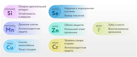 Микроэлементы в составе Ангиовита обеспечивают здоровье