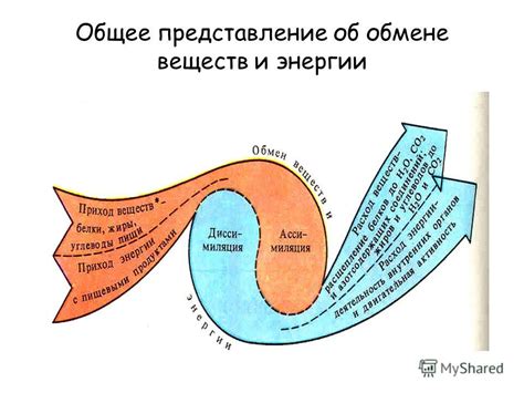 Минусовая энергия: общее представление