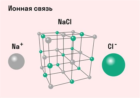 Миометрий: основные характеристики и его связь с диффузной неоднородностью