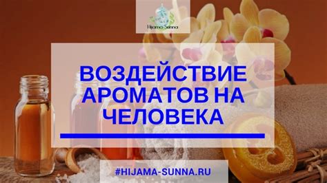 Мир ароматов и его воздействие на наши сновидения