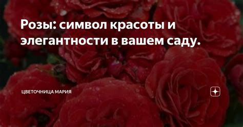 Мисс: символ красоты и элегантности