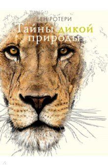 Мистические тайны снов о ярмарке дикой природы: символика и глубинное значение