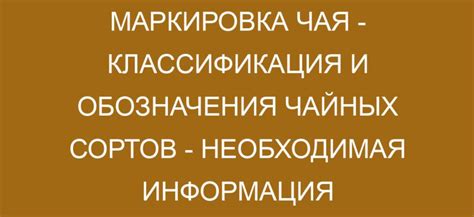 Мистический гастрономический выбор: отбор чайных сортов для лунных путешествий