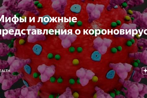 Мифы и ложные представления о ластении котов