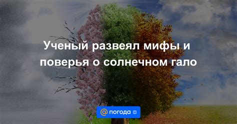 Мифы и поверья о блеске окон в соннике Миллера