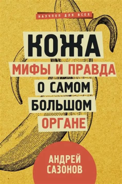 Мифы и правда: разоблачение общепринятых представлений о человеческой мыслительной деятельности