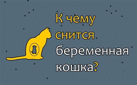 Мифы и реальность: сон о беременной кошке