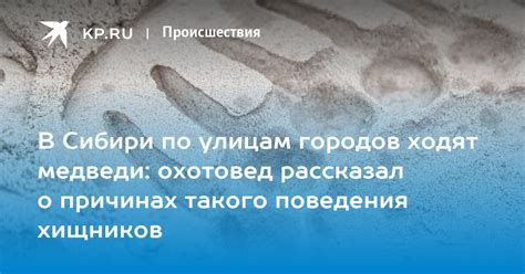 Мифы о причинах такого поведения