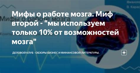 Мифы о работе половины мозга