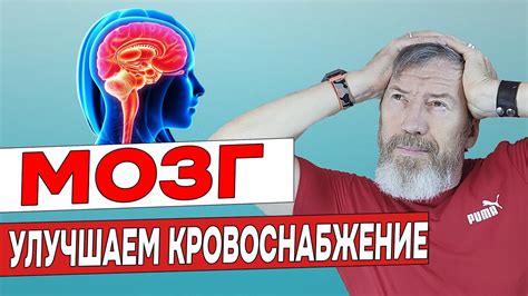 Мнемонические упражнения: как улучшить работу своей памяти с помощью ассоциаций и образов