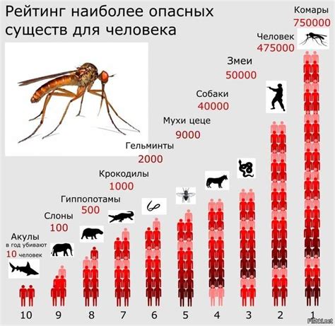 Множество насекомых во сне: их значение и символика