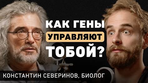 Могут ли сновидения предсказывать нашу судьбу в отношениях?