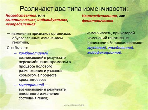 Модификационная изменчивость