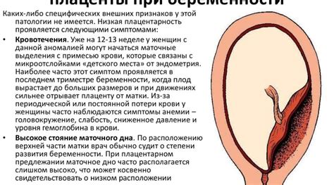 Может ли низкое расположение плаценты вызывать осложнения для матери?