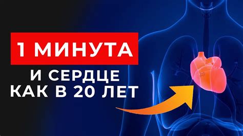 Может улучшить функцию сердца и сосудов