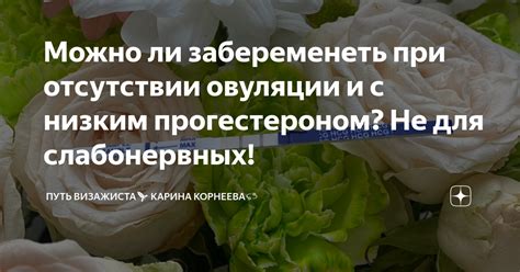 Можно ли забеременеть при отсутствии овуляции?