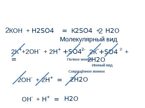 Молекулярный вид реакций: основное понятие