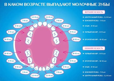 Молочные зубы в сновидениях: символ роста и развития