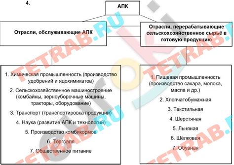 Монархическая политика: изучение особенностей и принципов