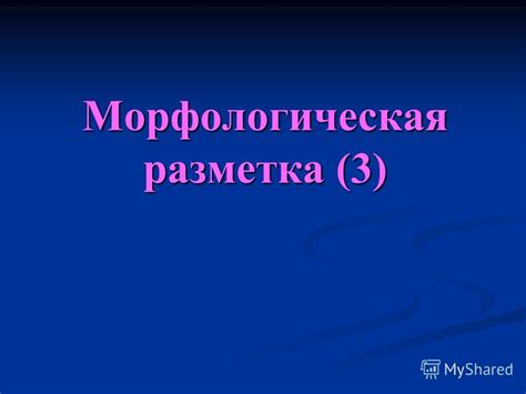 Морфологическая форма: определение и примеры