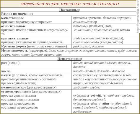 Морфологические признаки прилагательных: что они значат и какие они бывают?