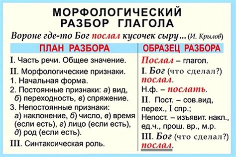 Морфологический разбор: что такое переходный глагол?