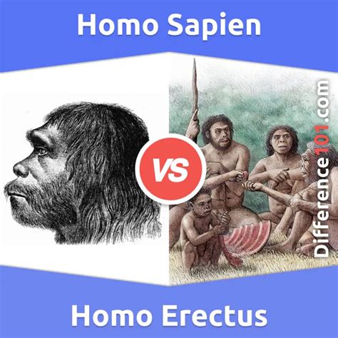 Морфология и физиология Homo sapiens