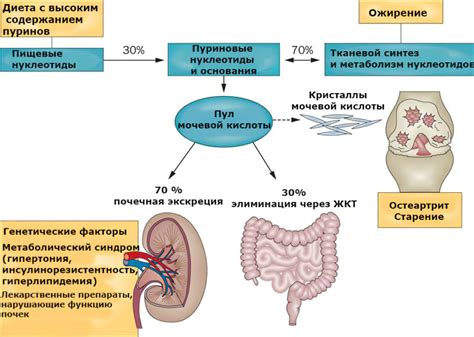 Мочевая кислота повышена