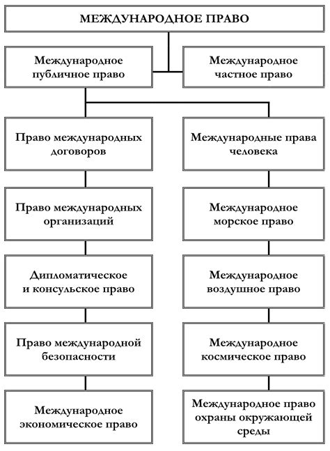 Мпп интактна и ее значение взрослому человеку