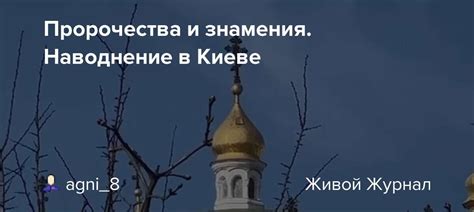 Мрачные пророчества и печальные знамения