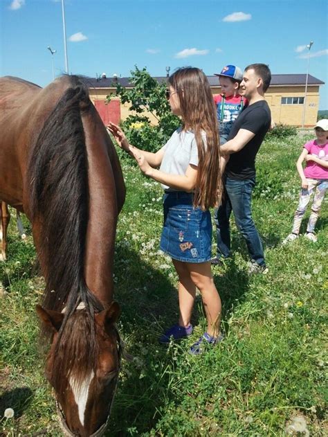 Мужчина и сновидение с участием лошади: связь с подсознанием