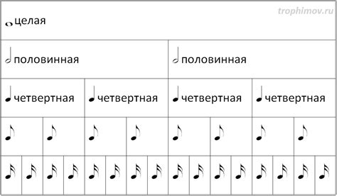 Музыкальные значения и длительность нот