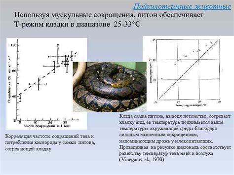 Мускульные сокращения