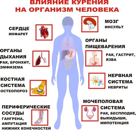 Муслякать как физиологический процесс и его влияние на организм