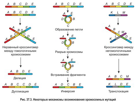 Мутации летальных генов