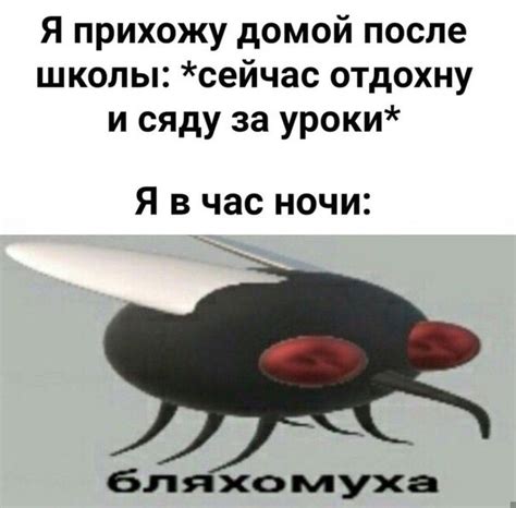 Мухи на рабочем месте: социальная связь и значение символа в сновидении