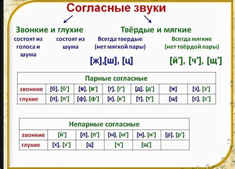 Мягкие звуки в русском языке и их обозначение