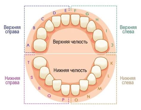 НКР и его особенности в стоматологии