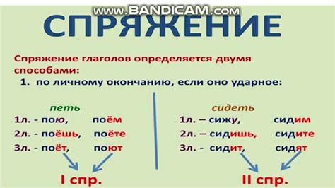 Навстречу глагол: история изучения и основные особенности