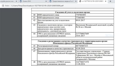 Назначение и значение Государственного регистрационного номера организации