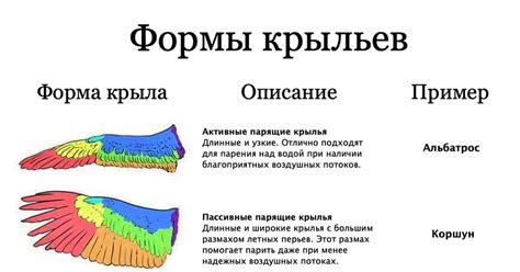 Назначение обрезки крыльев у птиц