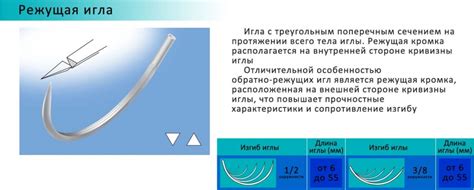 Назначение точечного введения иглы в медицине