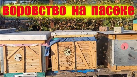 Нападение пчел на улей