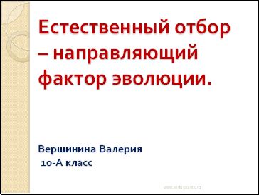 Направляющий фактор: