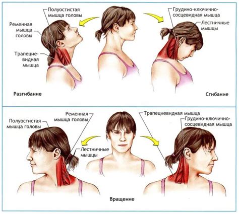 Напряжение в мышцах шеи