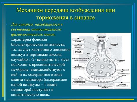 Нарушение нервного импульса: